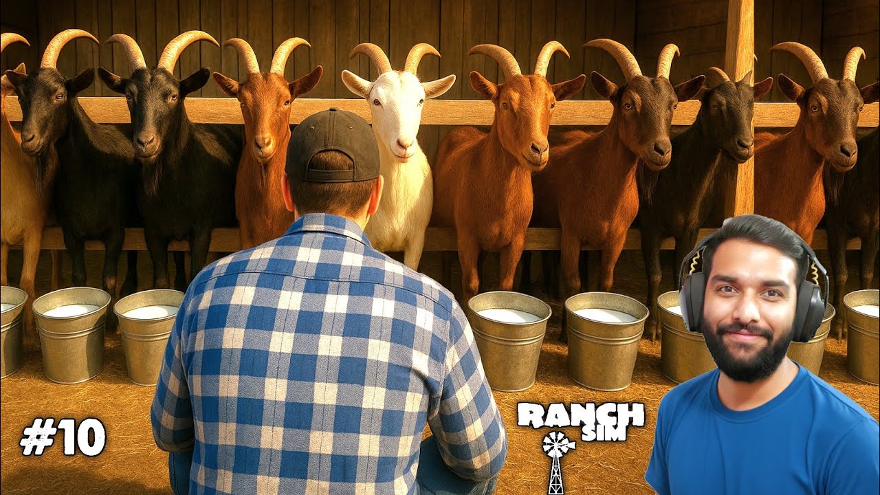 Day One Of Cheese Production | Ranch Simulator Gameplay #10