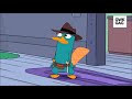 Perry the platypus plumber