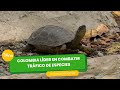 Colombia líder en combatir tráfico de especies - TvAgro por Juan Gonzalo Angel Restrepo