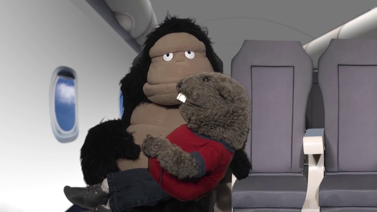 Things You Shouldn't Do While Traveling [ARCHIVE]