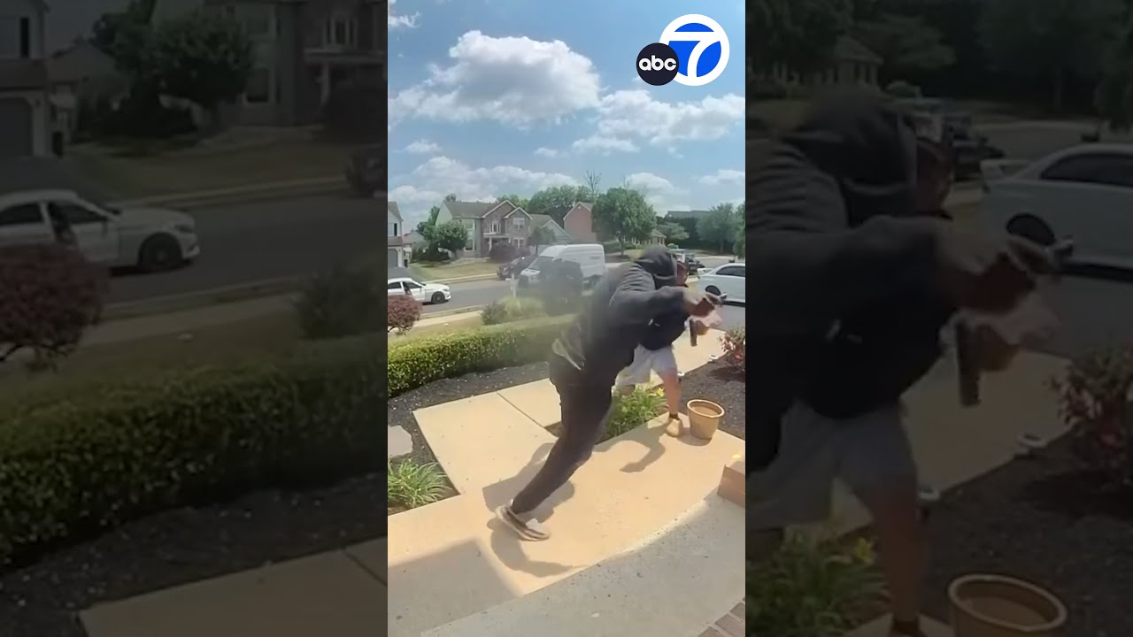 Dueling Porch Pirates Scuffle To Steal Package Outside Pennsylvania Home Shorts