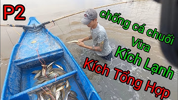 Đẩy côn bằng máy chống Cá Chuối (Tổng Hợp). Kích cá Chuối cuối mùa.