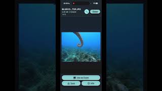 BlueVoid Overview – Explore and Manage Your Dive Library