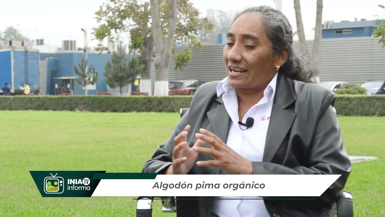 𝗔𝗹𝗴𝗼𝗱𝗼́𝗻 𝗽𝗶𝗺𝗮 𝗼𝗿𝗴𝗮́𝗻𝗶𝗰𝗼