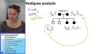 Chromosomes 8- Pedigree practice