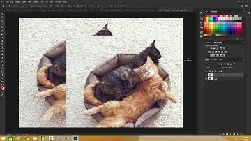 Photoshop - Opacity of a Layer