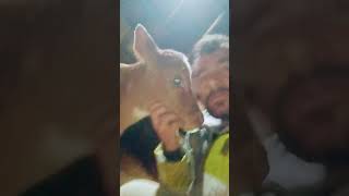 Şfetbeniöneçıkar Öy