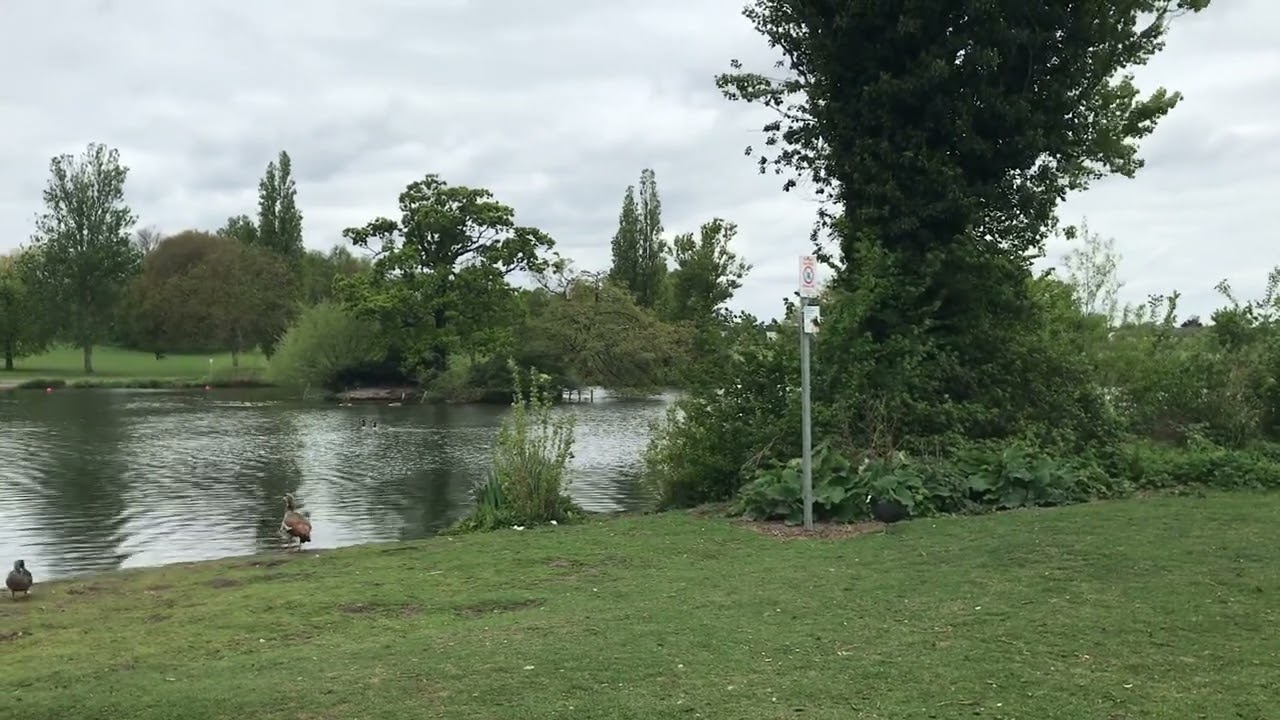 Danson Park Lake, Bexley