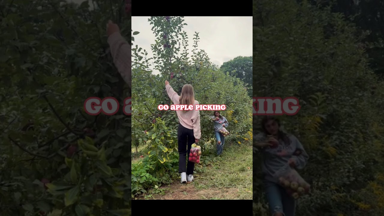 things to do in fall part 1 