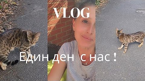 #36 Живот в Англия!От вкъщи или от училище е по -добре да обядват децата?