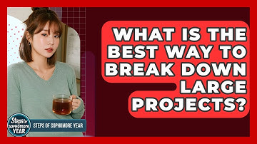 What Is The Best Way To Break Down Large Projects? - Steps to Sophomore Year
