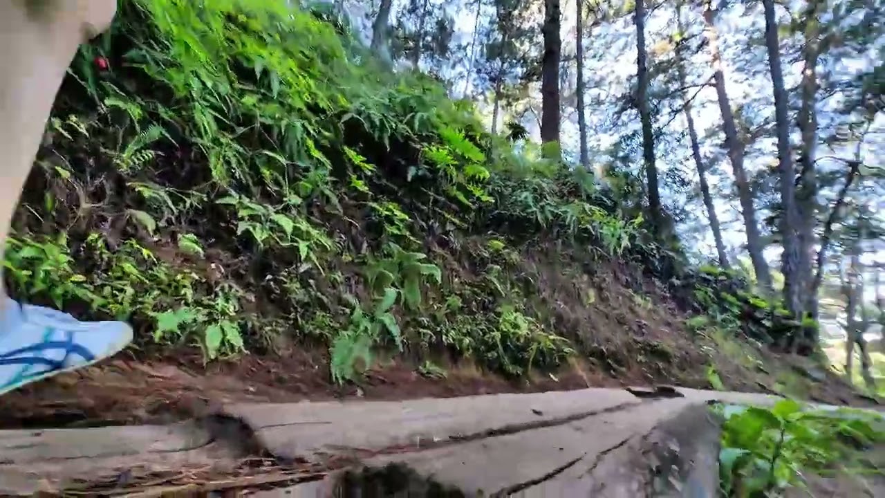 BLUE TRAIL TO YELLOW TRAIL (ASMR) | Camp John Hay, Baguio City