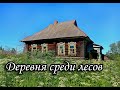 НЕДАВНО ПОКИНУТАЯ ДЕРЕВНЯ Ярославской области. Часть 1