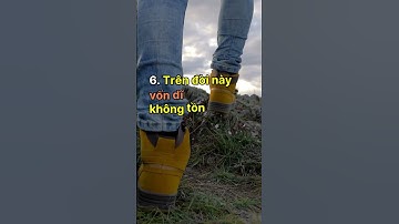 Tuyệt Đối Không Được Bỏ Qua 9 Câu Nói Này Kẻo Hối Hận #shorts