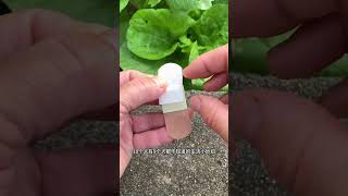 Here s a trick for you#Tips#Share life hacks