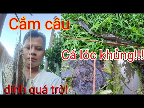 Video Cạo gió bé gái xinh đẹp full #11 - youtube