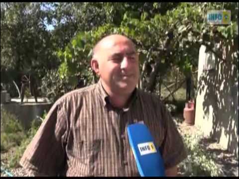 პროტესტის ნიშნად