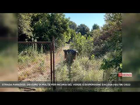 STRADA PARADISO, 210 EURO DI MULTE PER INCURIA DEL VERDE  E DISPERSIONE D'ACQUA | 05/08/2022