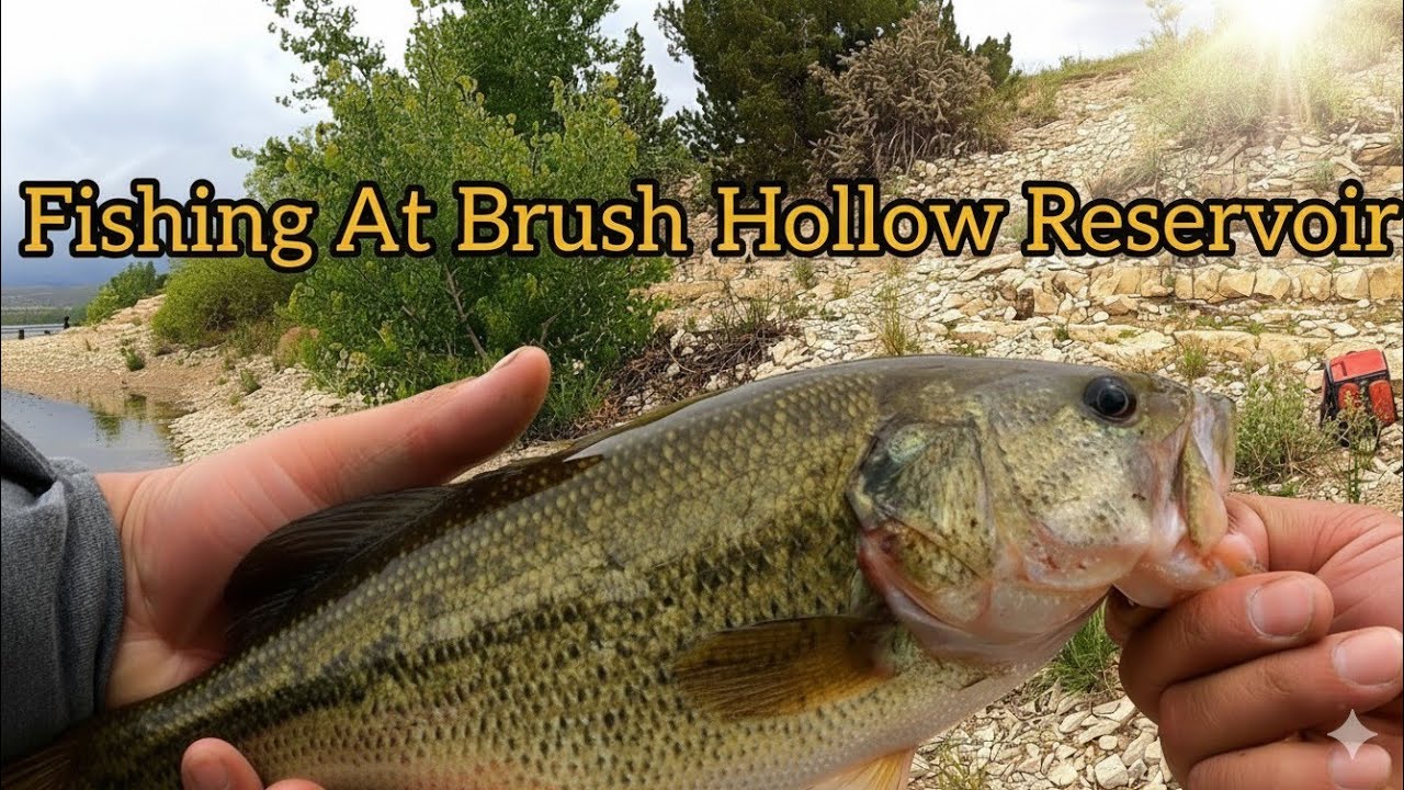 Looking For Bass In Colorado At Brush Hollow Reservoir YouTube