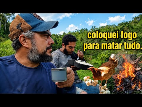 Tive que fazer isso pra matar os bichinhos,a realidade do caipira 