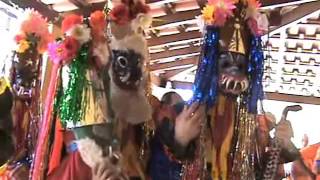 Folia De Reis Estrela Brilhante Do Oriente Tapiratiba-sp Folia De Reis Estrela Brilhante Do Oriente Tapiratiba-sp