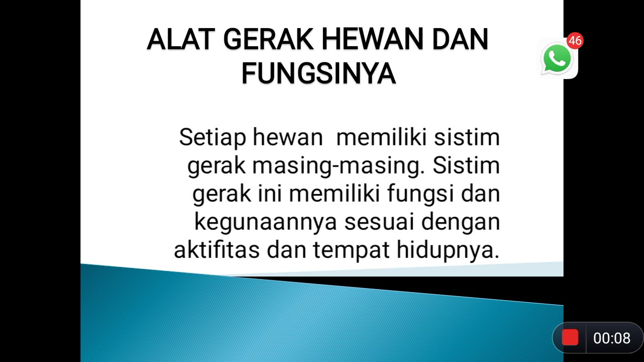  Alat  Gerak Hewan  Dan Fungsinya Guru Ilmu Sosial