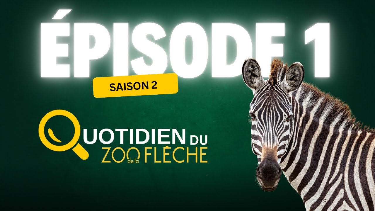 À la découverte de la plaine africaine 🦒🦓 (Saison 2, épisode 1)