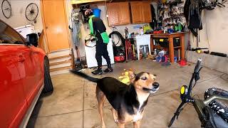 Murphys Mush With The Fatbikes