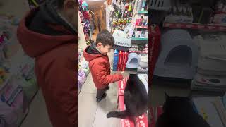 Panda kedi 🐈‍⬛