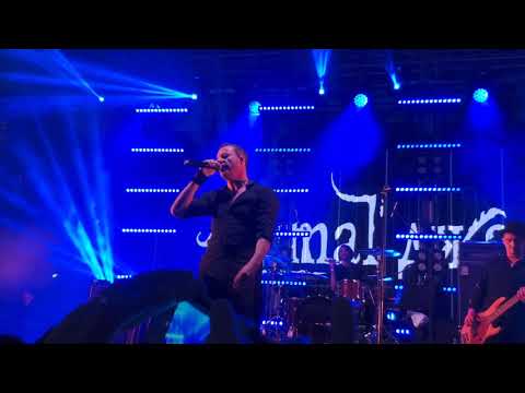Animal Джаz - Если дышишь (акустика)