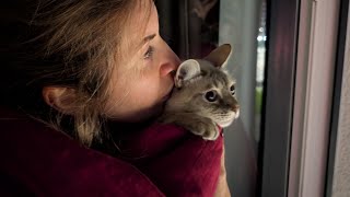 видео: Когда прошлая боль не отпускает: психологический разбор фильма картинка: Когда прошлая боль не отпускает: психологический разбор фильма