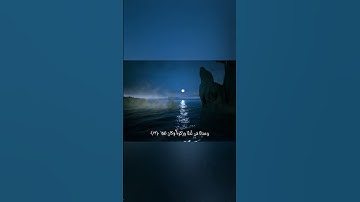 👆🏻المقطع كامل👆🏻تلاوة ساحرة للشيخ محمد اللحيدان ❤️🌴الآية 12-14 من سورة مريم