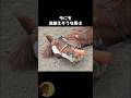 仮病を覚えてしまった天才馬😂🐴 #動物 #雑学 #豆知識 #馬のサムネイル