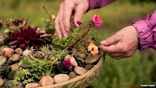 About Horticulture at CCE Oneida