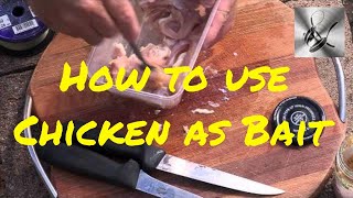 How to use Chicken as bait | The Hook and The Cook screenshot 3