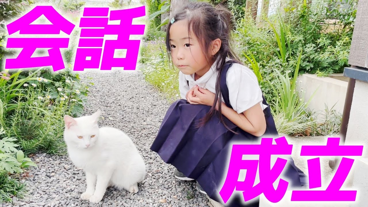 やっぱり娘だけには沢山お喋りしてくれる庭子猫が可愛すぎた…笑[三毛母猫の子猫とジョア]