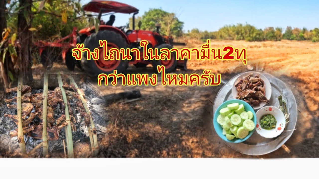 แปงนาในลาคามื่น2แพงใหมทุกคน16 กุมภาพันธ์ ค.ศ. 2026