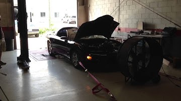 1998 Pontiac Trans Am Dyno 2