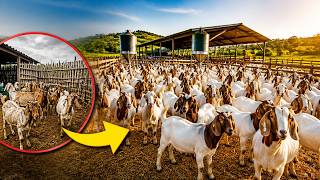 Si Sientes que tu Granja de Cabras no Avanza Tal vez Necesitas Este Mensaje