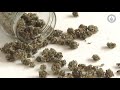 Historic Adult-Use Cannabis Legislation Signed into Law in NJ