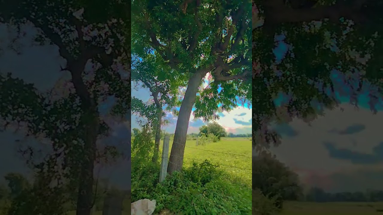 The land of heaven farmar land 🤯🙀😱 this is truly beautiful 😍❤️