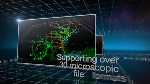 Discover Imaris Software from Bitplane
