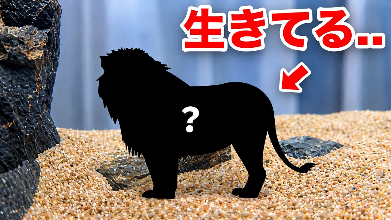 What happens when you try raising a lion that was left unsold