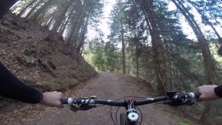 Bike Eggschi Chuel 04