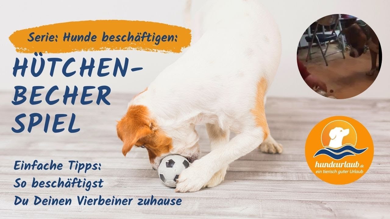 18+ frisch Fotos Hundespiele Für Zuhause / Das Grosse Hundespiele Buch