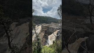 Barron Falls Kuranda Queensland #australia #QLD #cairns #spectacularwaterfall #kuranda #rainforest