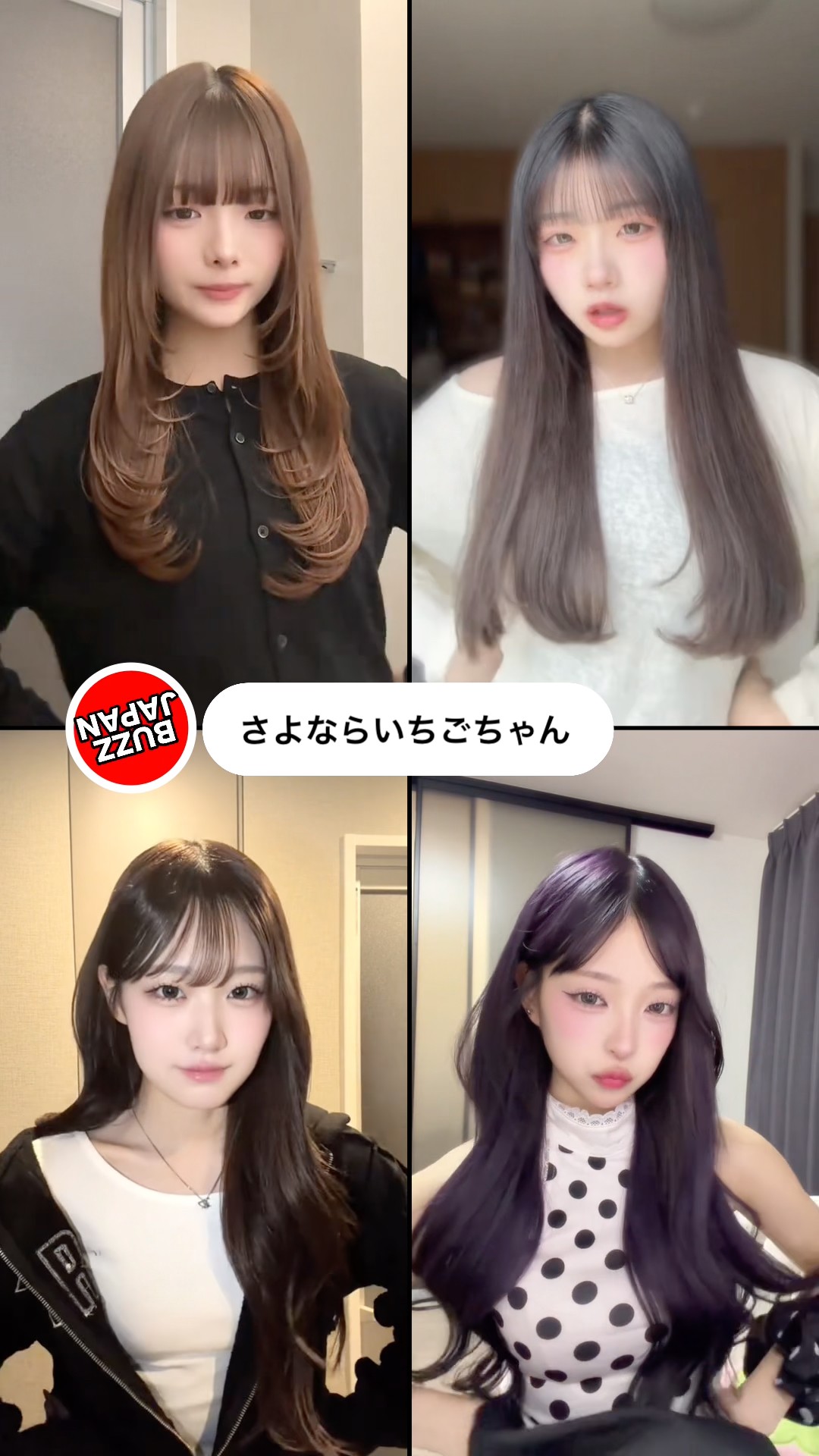 BUZZJAPAN2 #TikTok2026#Shorts#さよならいちごちゃん - YouTube
