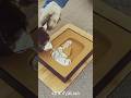 Satisfying Dice Roll and Drop Perfect Loop#usa #satisfying #asmr #satisfyingvideo #shorts