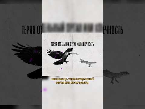 Почему ящерицы отбрасывают хвост? #живаяпланета #животные #интересное #ящерицы #интересныефакты
