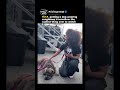H.E.R. petting a dog wearing sunglasses is somehow the coolest thing ever to watch